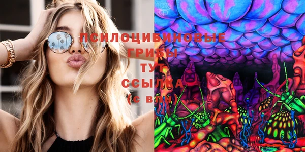 герыч Переславль-Залесский