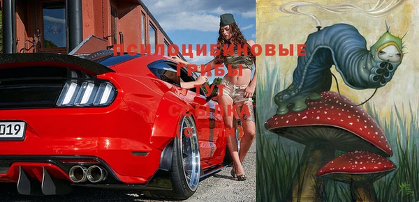 эйфоретик Пестово