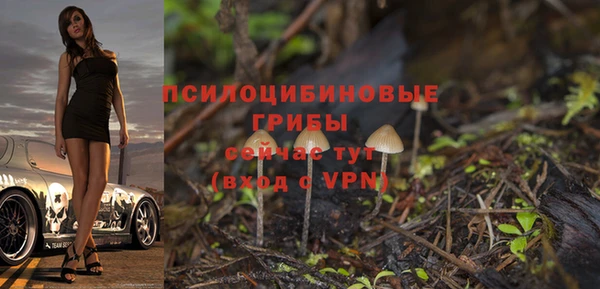 меф Пересвет