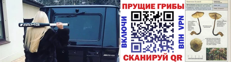 Псилоцибиновые грибы прущие грибы Салаир